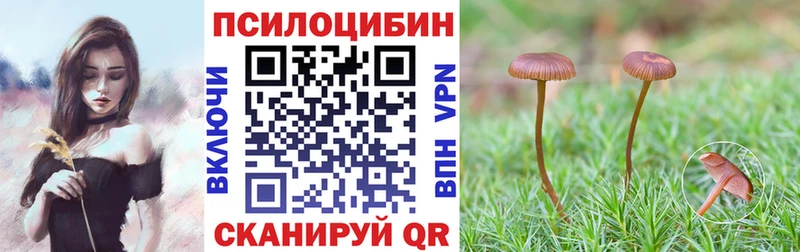 Псилоцибиновые грибы Psilocybine cubensis  Валуйки 